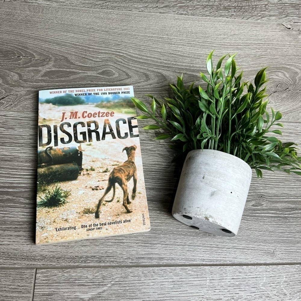 🌷2 for $15🌷 Disgrace by J.M. Coetzee
